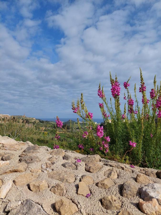 Mj Farmhouse B&B Xagħra Extérieur photo