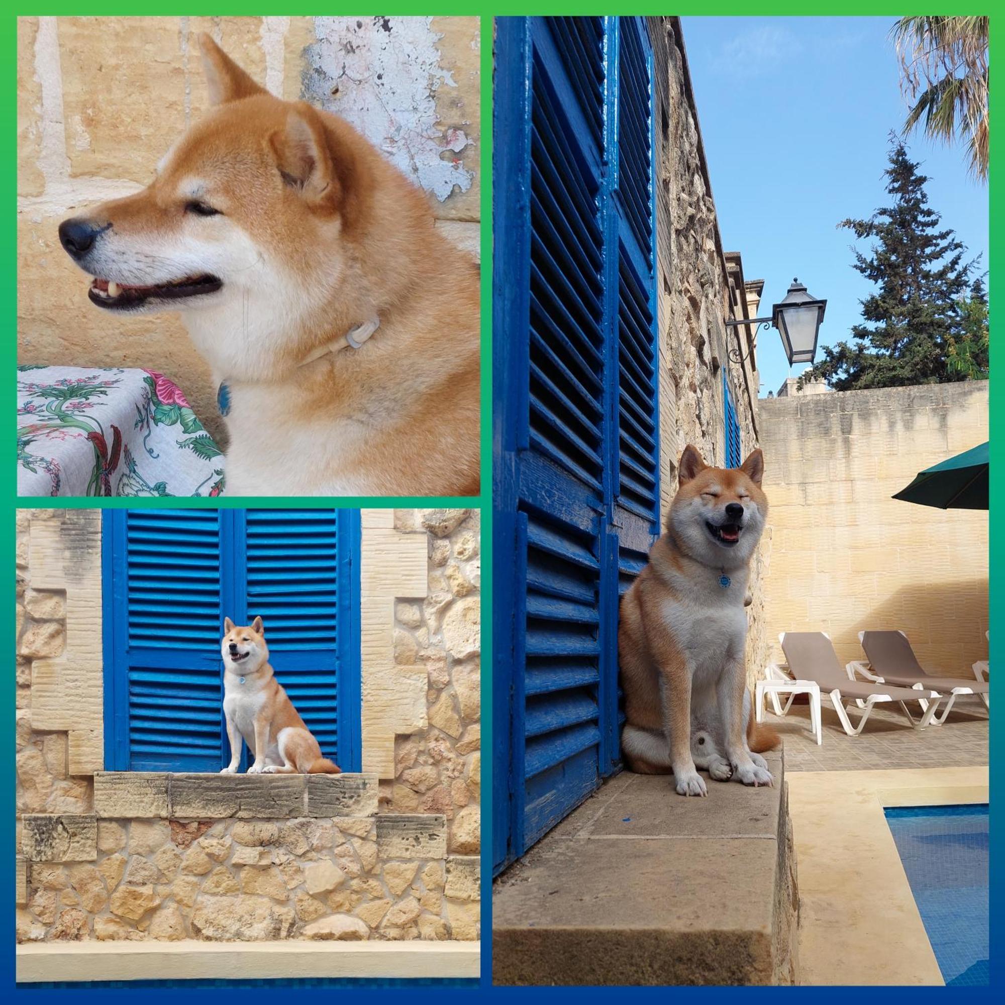 Mj Farmhouse B&B Xagħra Extérieur photo